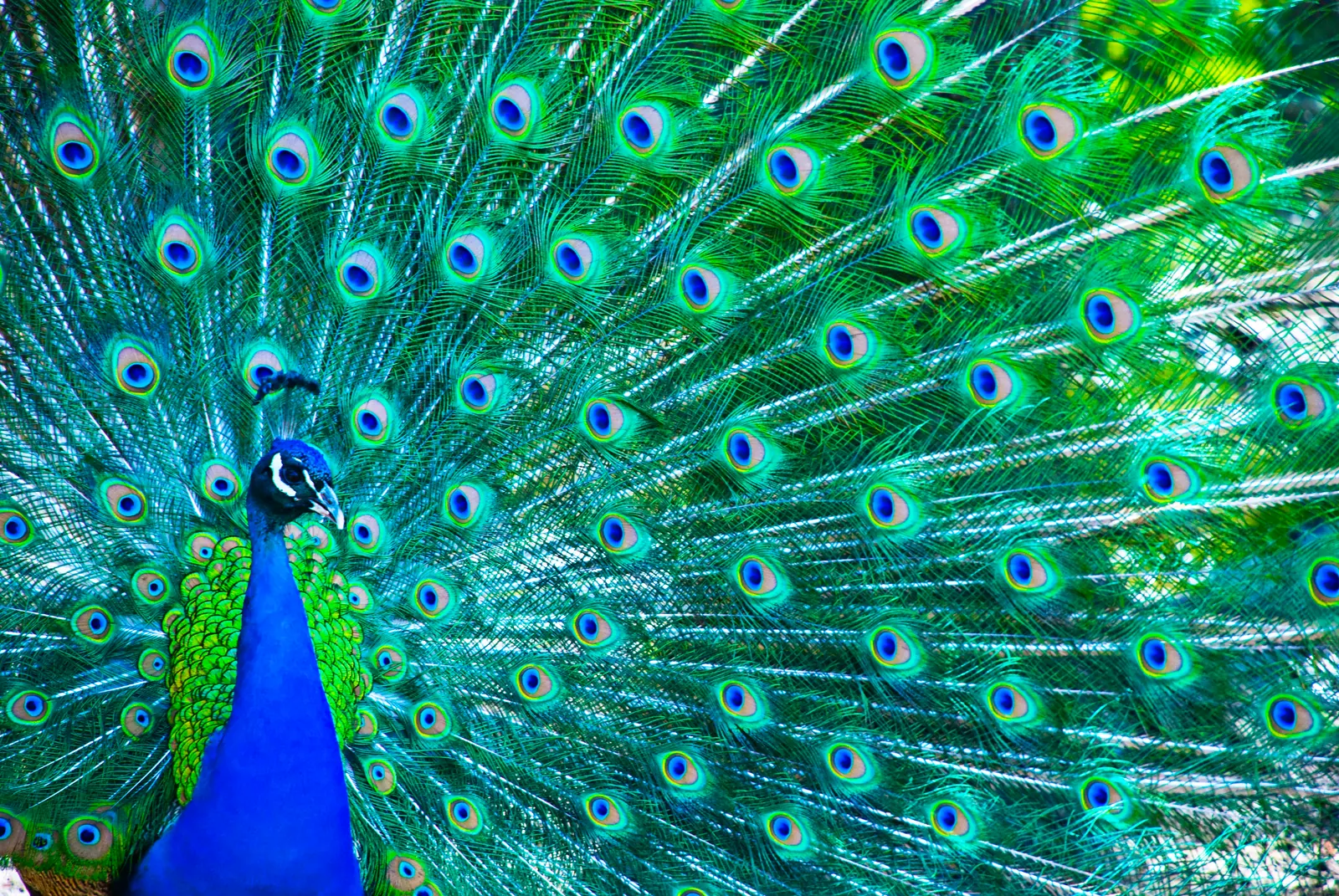 Editorial photograph accompanying “What To Expect When working with an SEO Agency”